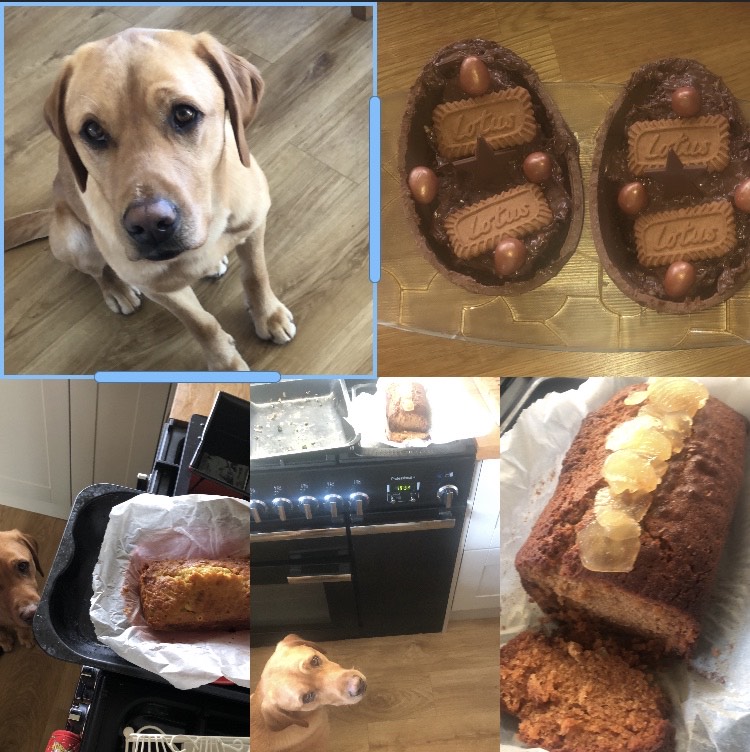Mrs Miller - Ginger Cake and Galaxy Brownie Easter Eggs